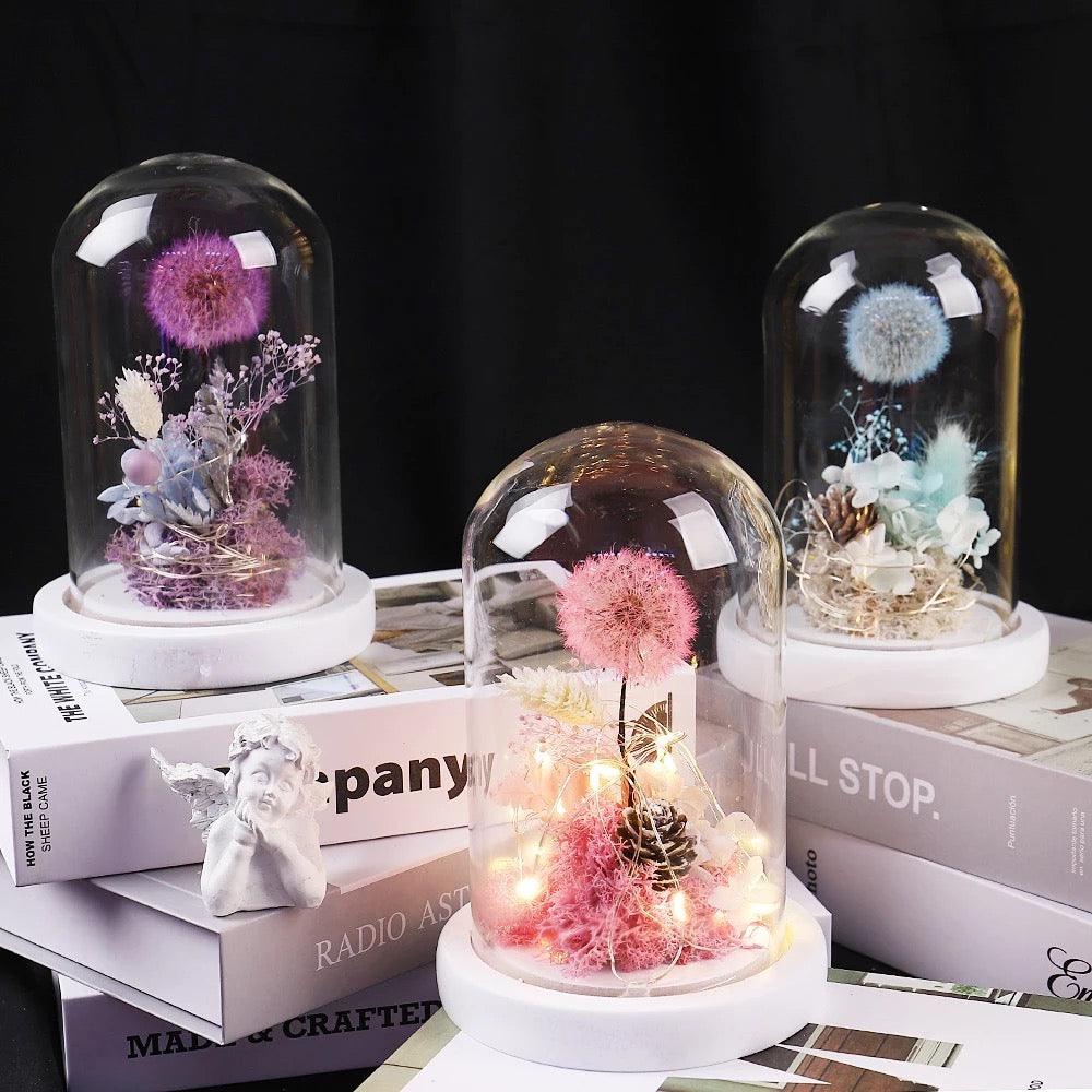 Papadie criogenata in cupola de sticla - MaiVrei.Ro