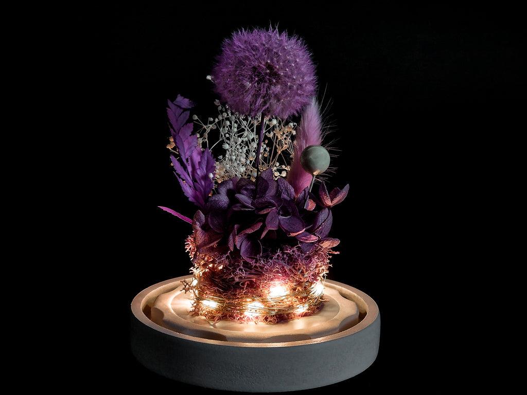 Papadie criogenata in cupola de sticla - MaiVrei.Ro