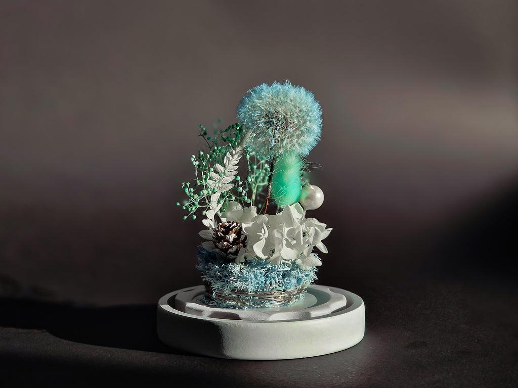 Papadie criogenata in cupola de sticla - MaiVrei.Ro