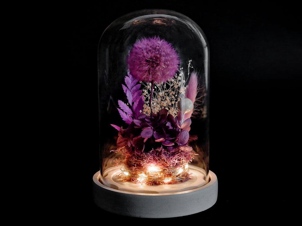 Papadie criogenata in cupola de sticla - MaiVrei.Ro