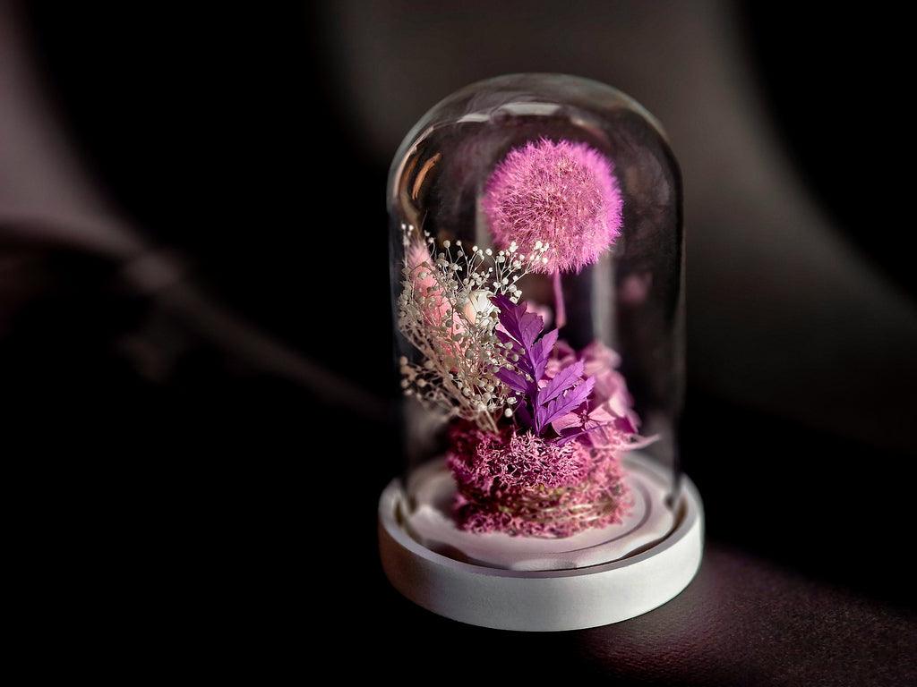 Papadie criogenata in cupola de sticla - MaiVrei.Ro