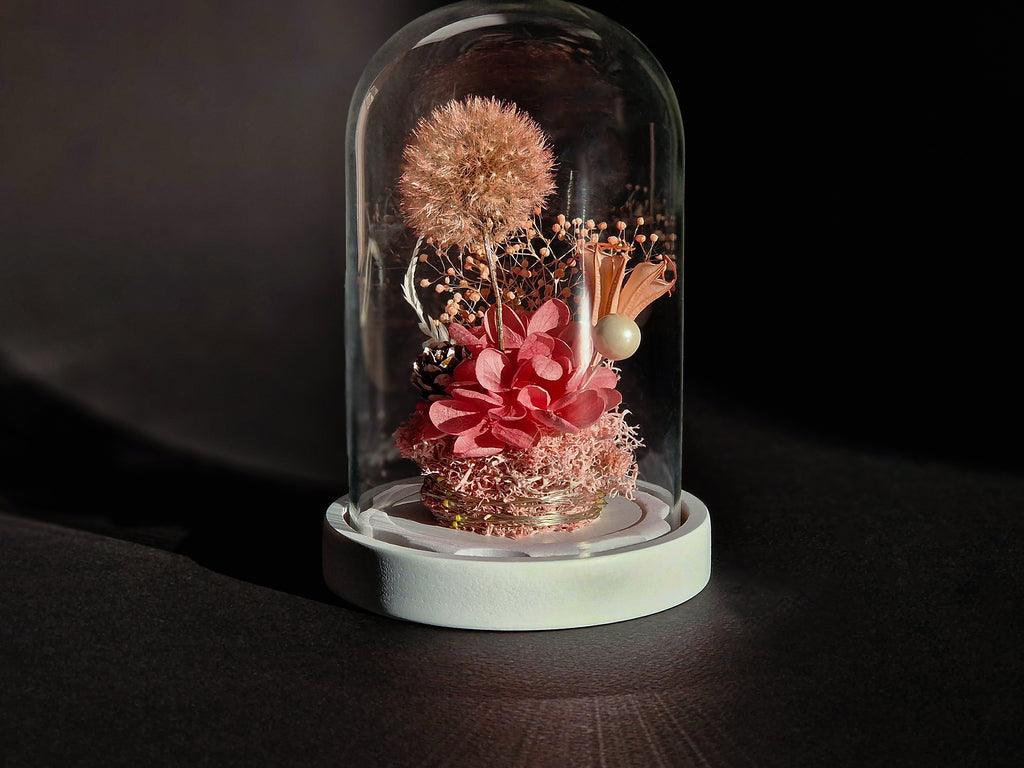 Papadie criogenata in cupola de sticla - MaiVrei.Ro