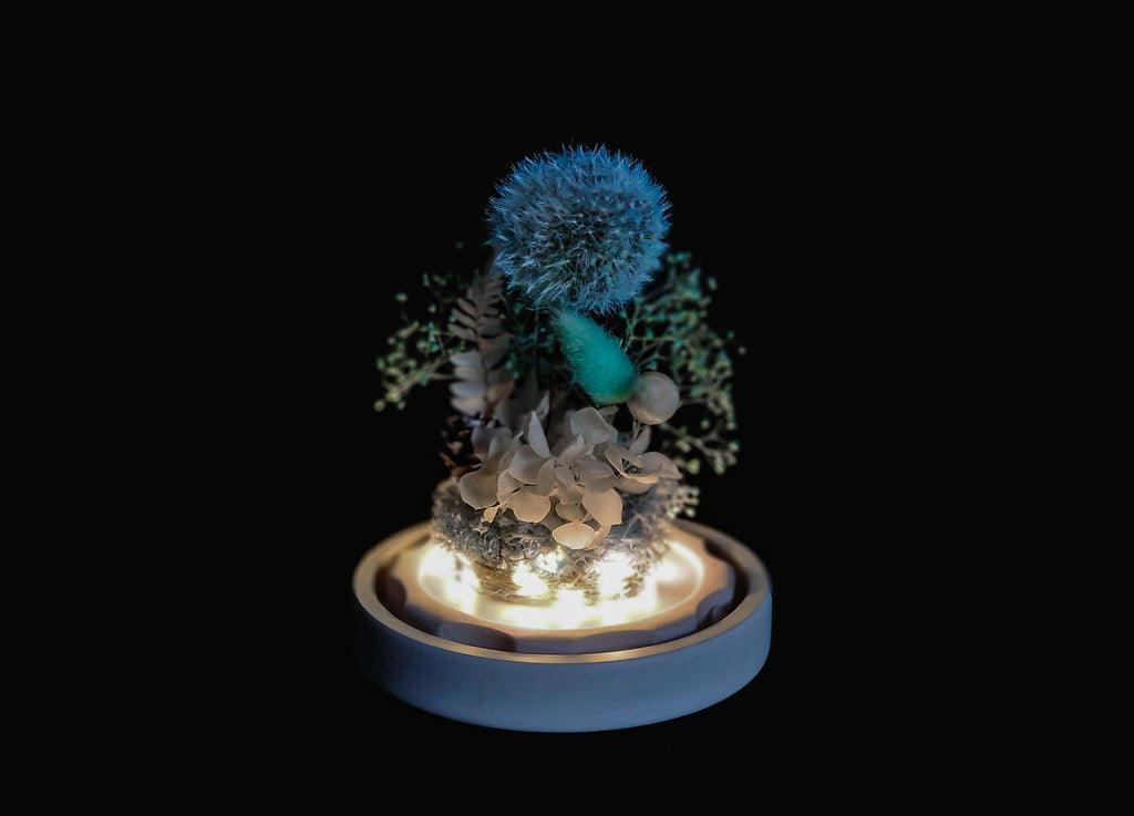 Papadie criogenata in cupola de sticla - MaiVrei.Ro