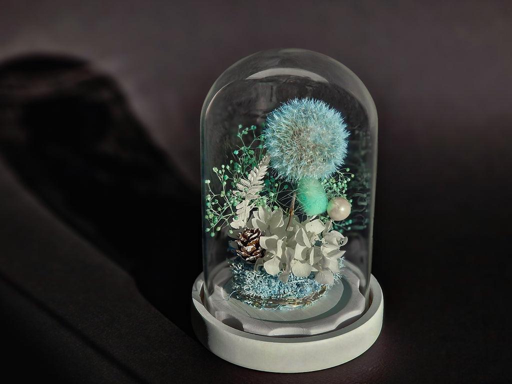 Papadie criogenata in cupola de sticla - MaiVrei.Ro