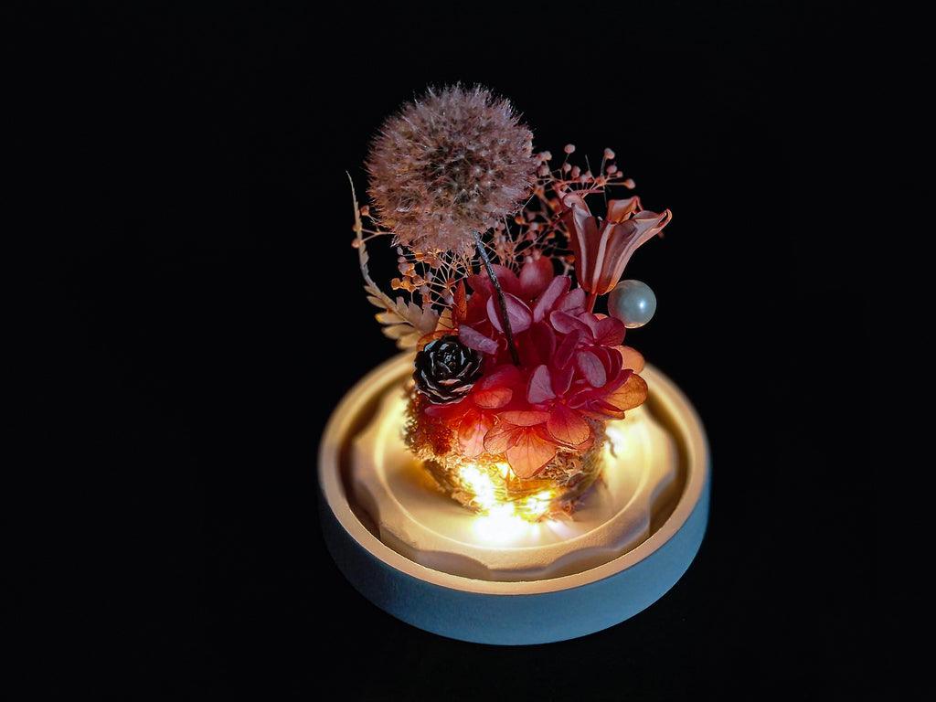 Papadie criogenata in cupola de sticla - MaiVrei.Ro