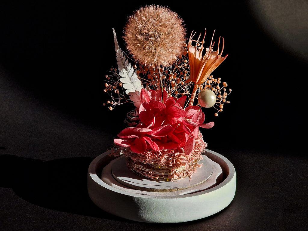 Papadie criogenata in cupola de sticla - MaiVrei.Ro